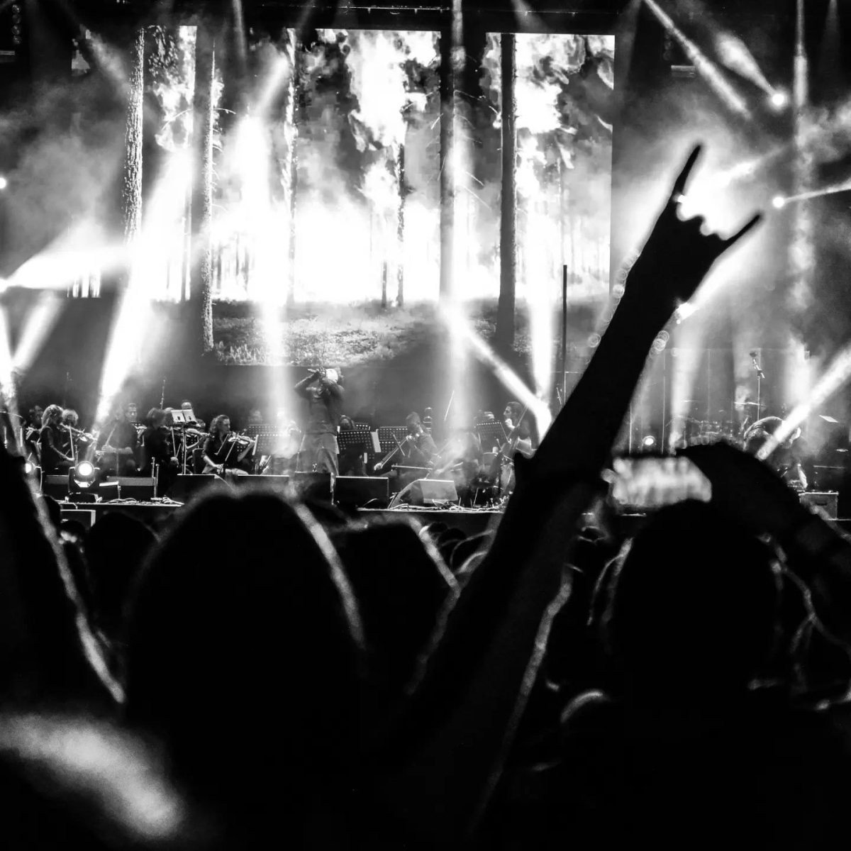 Hayko Cepkin Konser Fotoğrafları