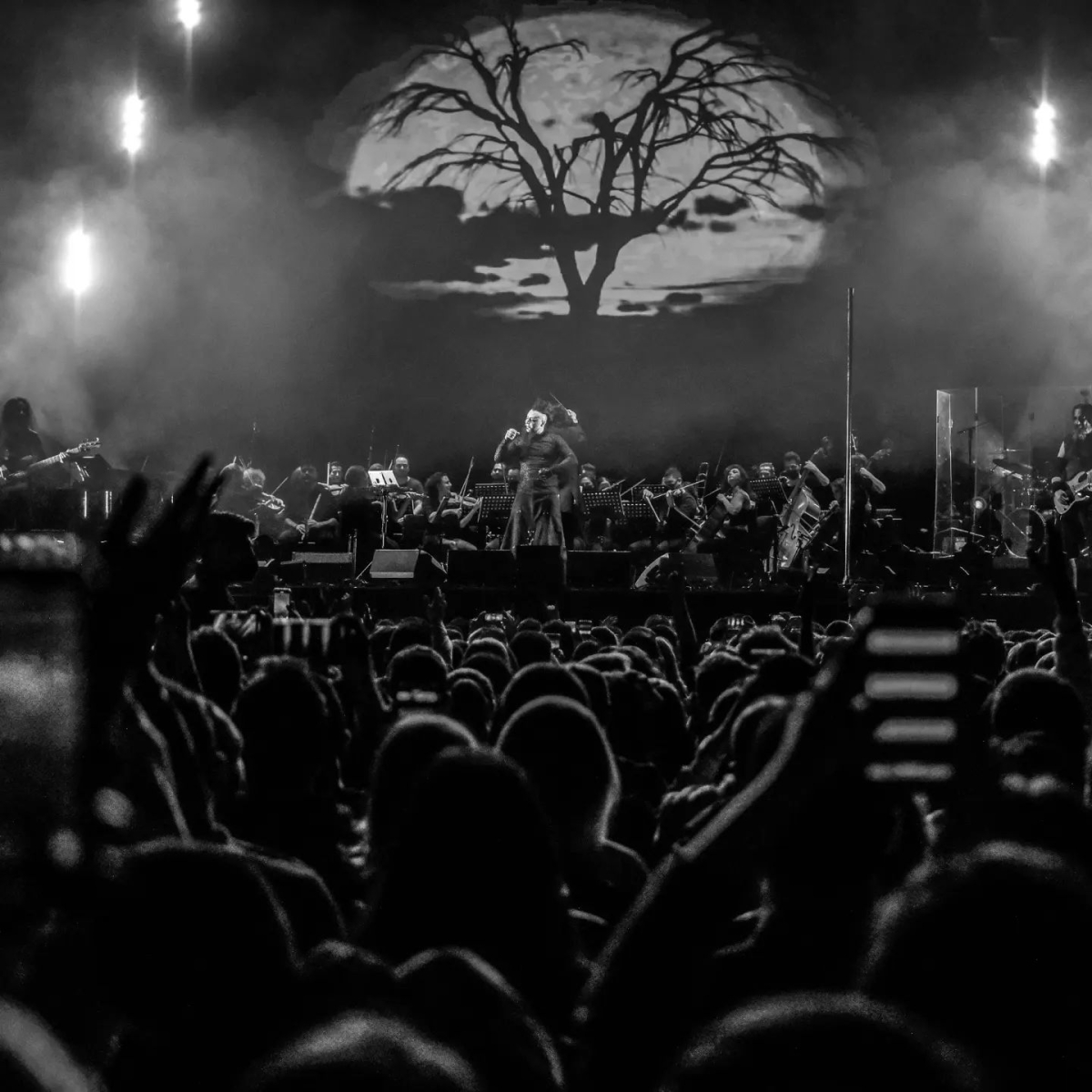 Hayko Cepkin Konser Fotoğrafları