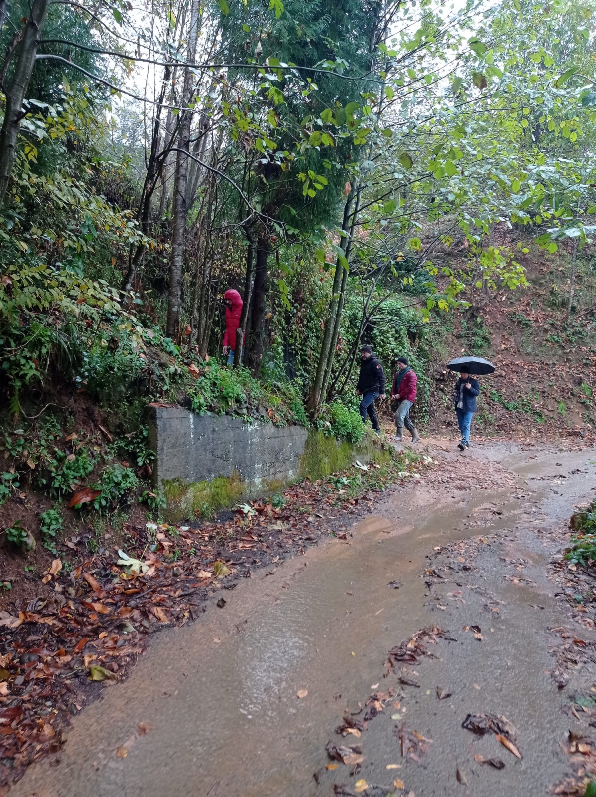Rize'de heyelan!