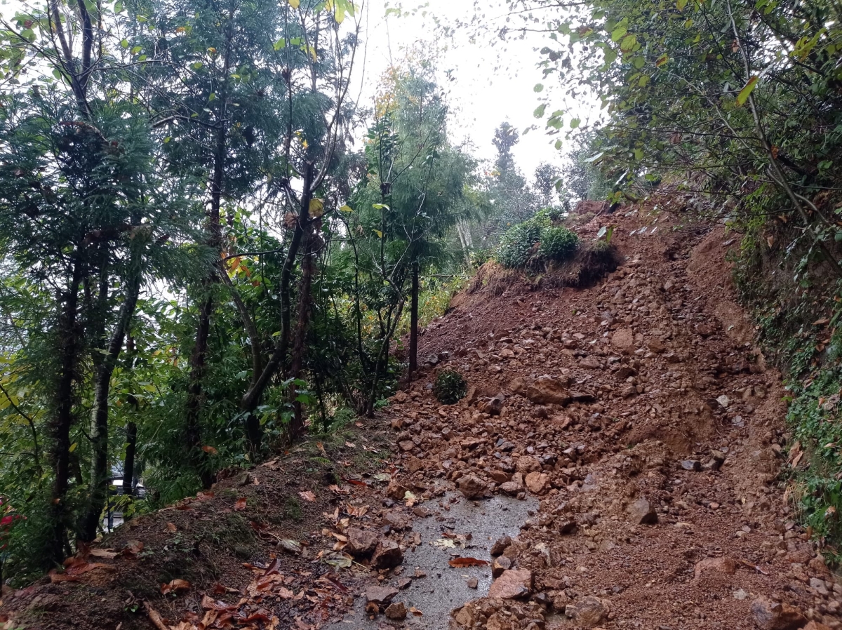 Rize'de heyelan!