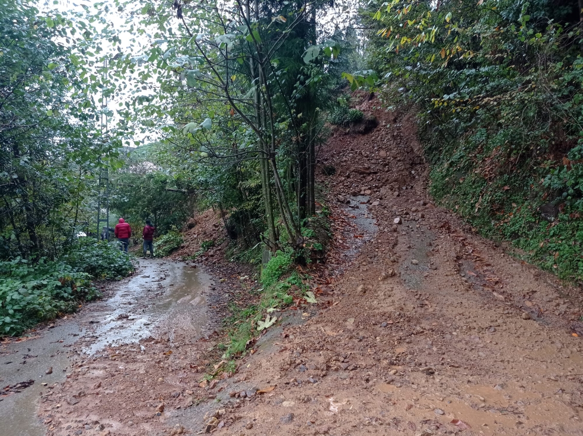 Rize'de heyelan!