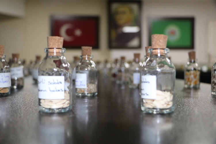 Bölgeden toplanan geleneksel ata tohumları halka dağıtılarak tekrardan toprakla buluşturuluyor