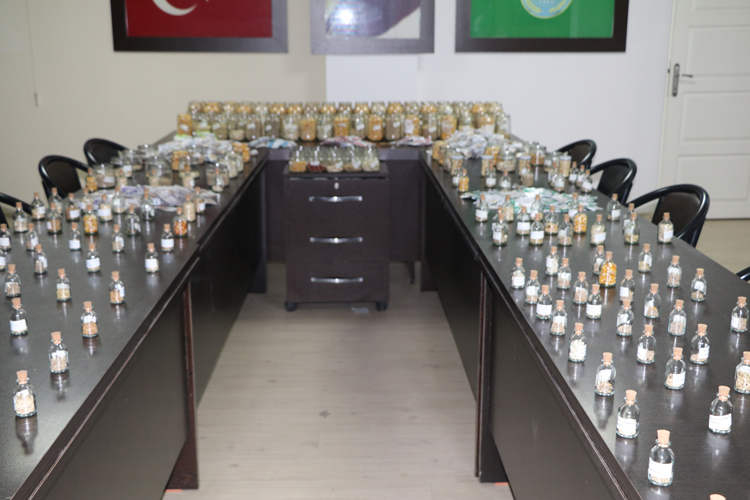 Bölgeden toplanan geleneksel ata tohumları halka dağıtılarak tekrardan toprakla buluşturuluyor