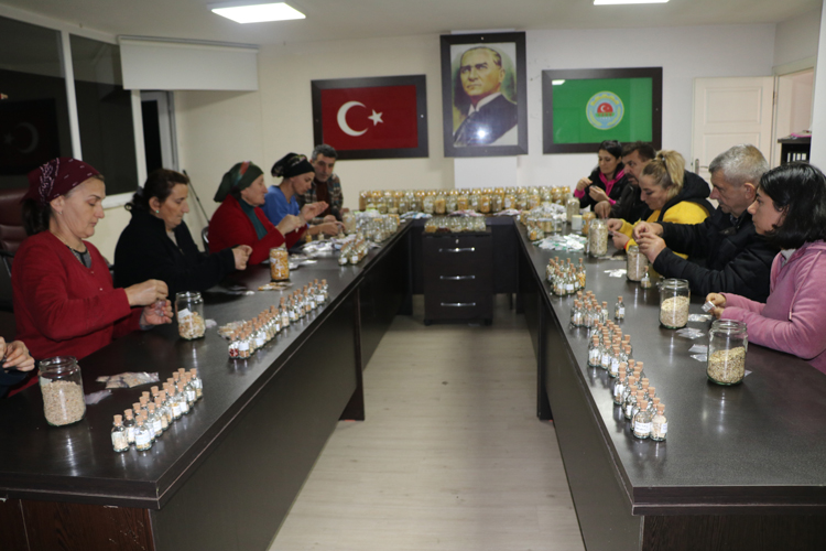Bölgeden toplanan geleneksel ata tohumları halka dağıtılarak tekrardan toprakla buluşturuluyor