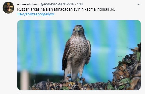 Rizespor taraftarı tekrardan Twitter gündeminde