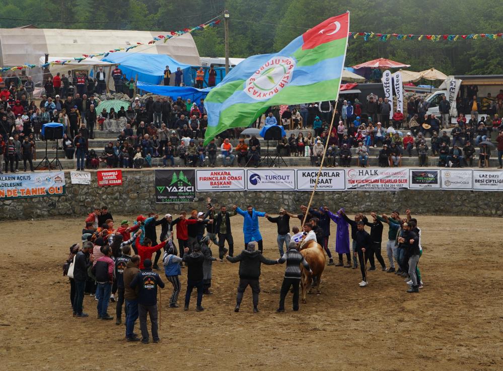 Ayder'de boğa güreşleri şenliği renkli görüntülere sahne oldu