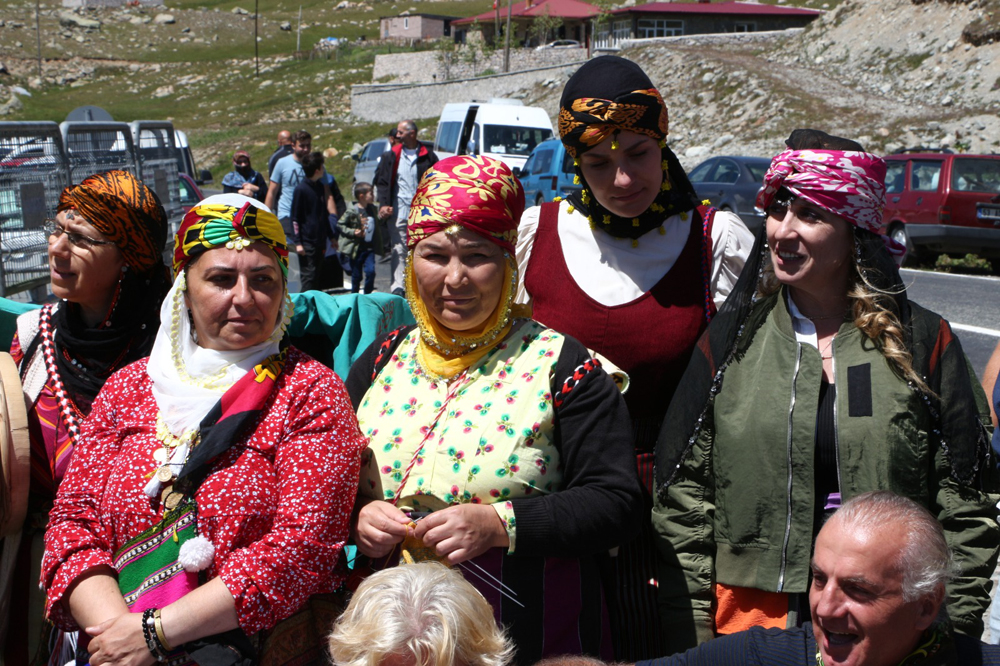 Rize'de ilginç 'İnek güzellik yarışması'