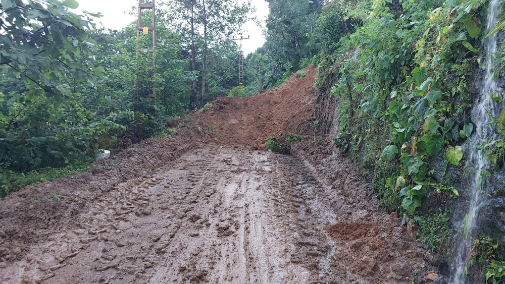 Rize'de şiddetli yağış heyelana neden oldu