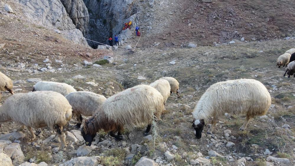 Amerikalı bilim adamı Mark Dicky için tüm Avrupa seferber oldu
