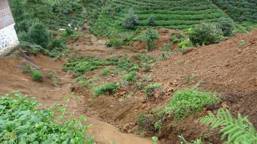Rize'de şiddetli yağış hayatı olumsuz etkiledi