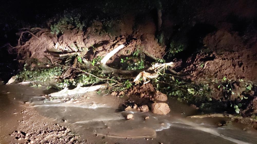 Rize'de şiddetli yağış hayatı olumsuz etkiledi