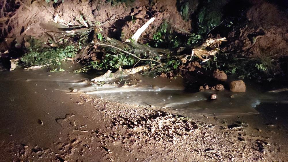 Rize'de şiddetli yağış hayatı olumsuz etkiledi