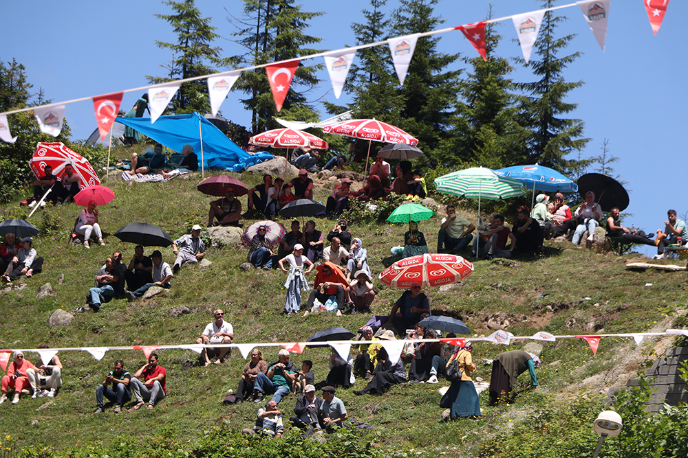 Ayder'de kıran kırana boğa güreşi