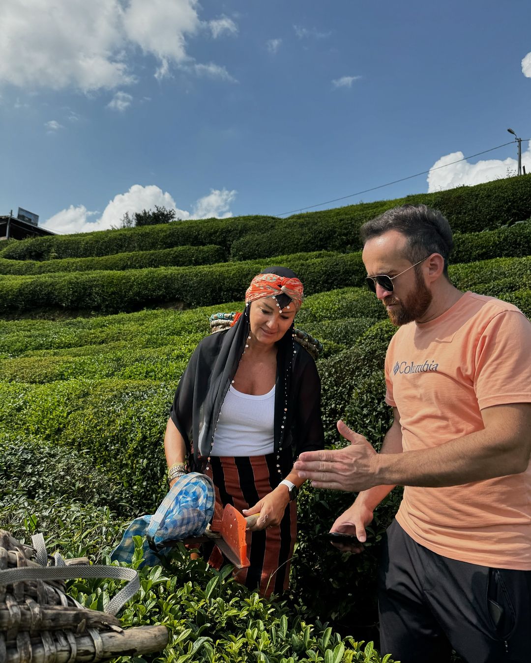Pinar Altuğ Rize'de çay topladı