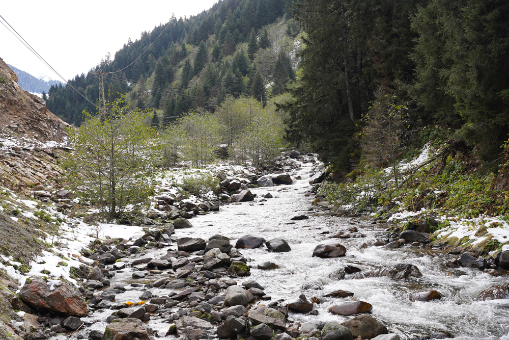 Rize'den Kartpostallık görünler