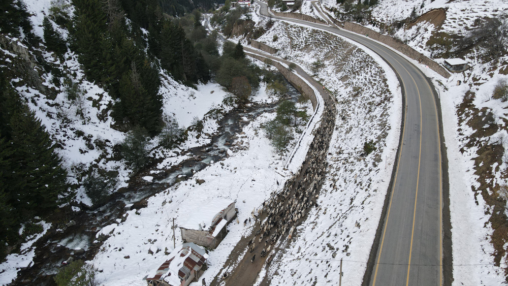 Rize'den Kartpostallık görünler