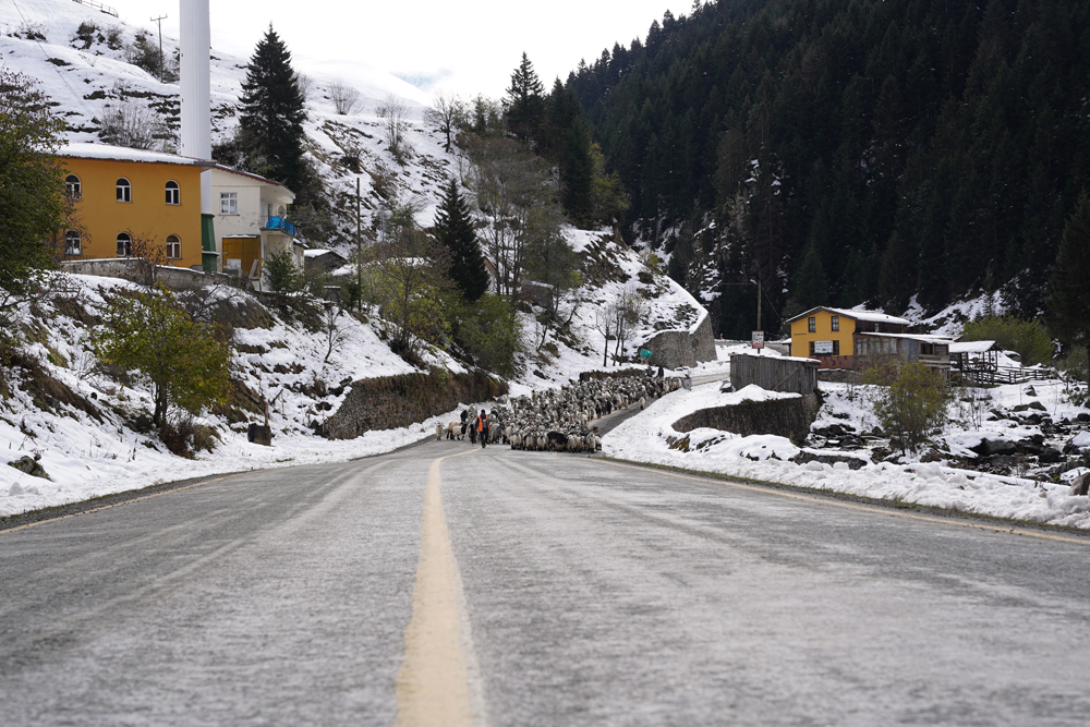 Rize'den Kartpostallık görünler