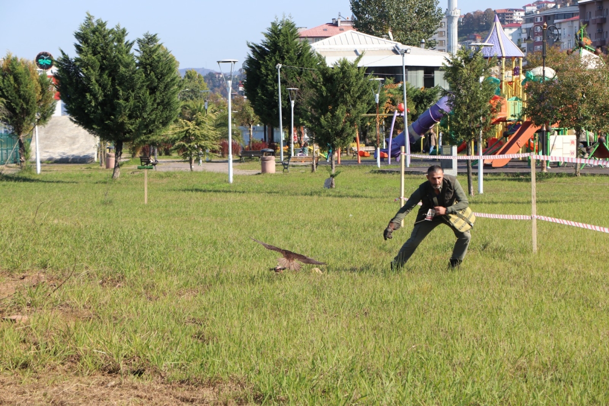 Rize'de Atmacalar güzellikte yarıştı