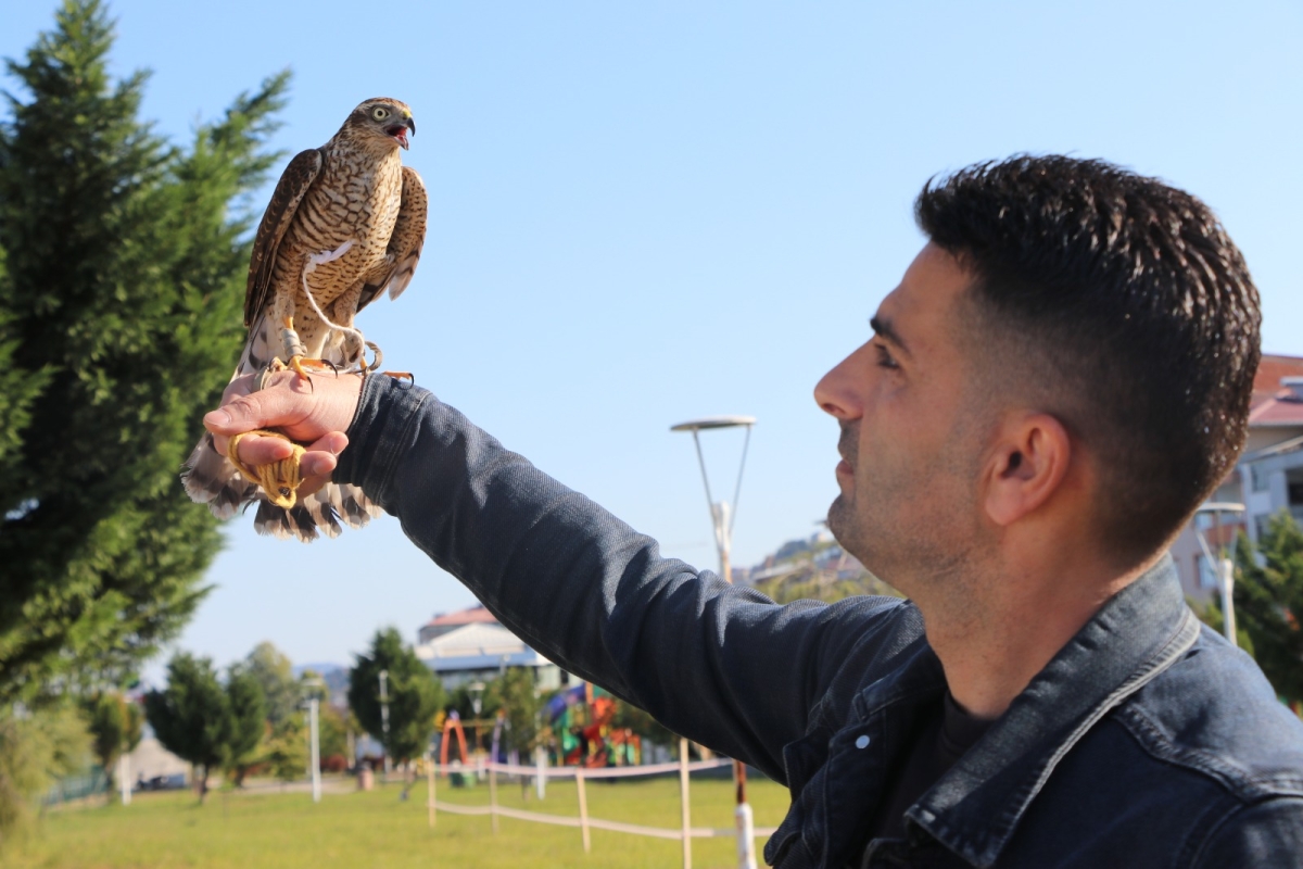Rize'de Atmacalar güzellikte yarıştı