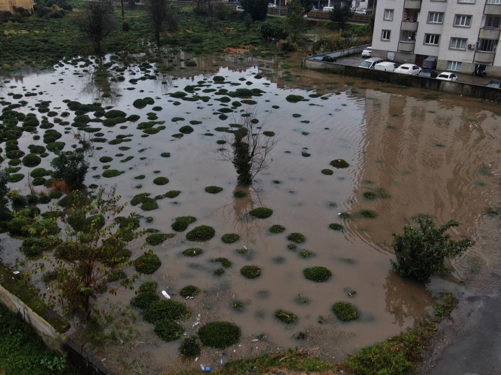 Çayeli'nde heyelan