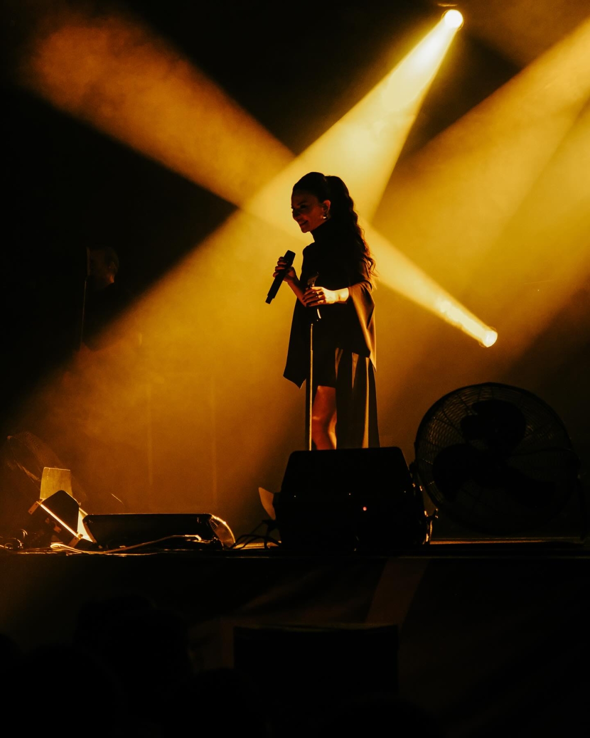 Fatma Turgut konser fotoğrafları