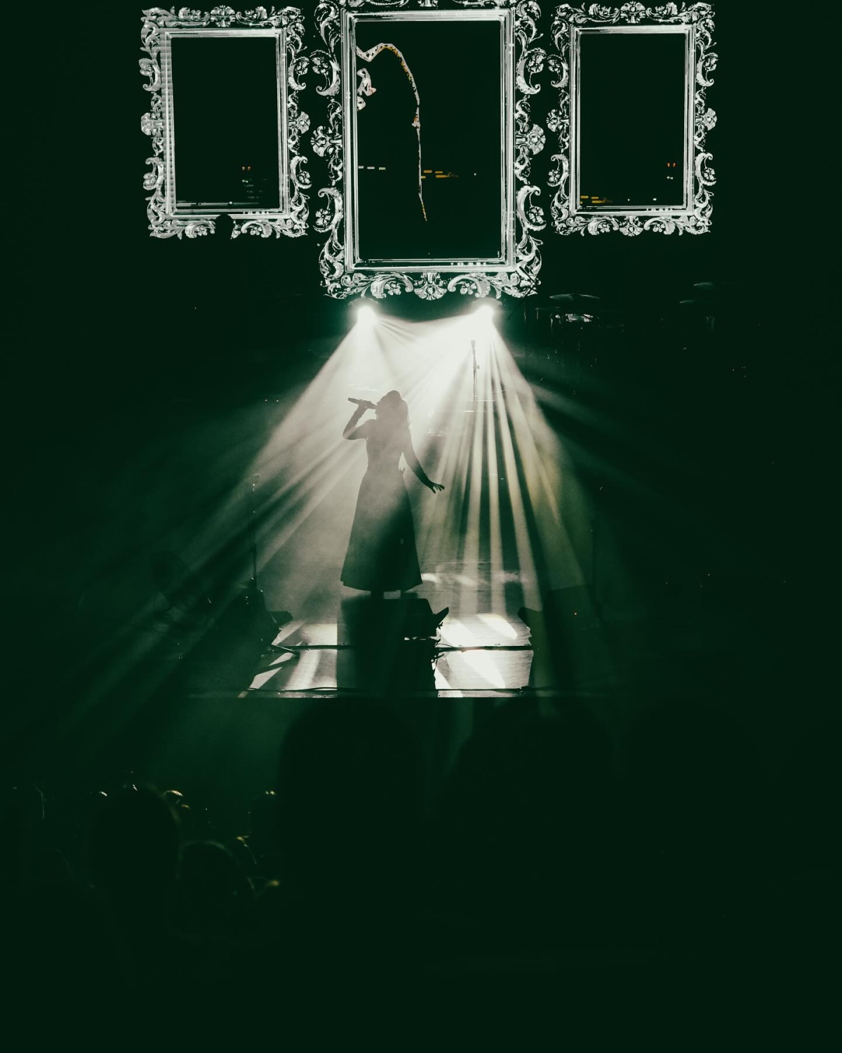 Fatma Turgut konser fotoğrafları