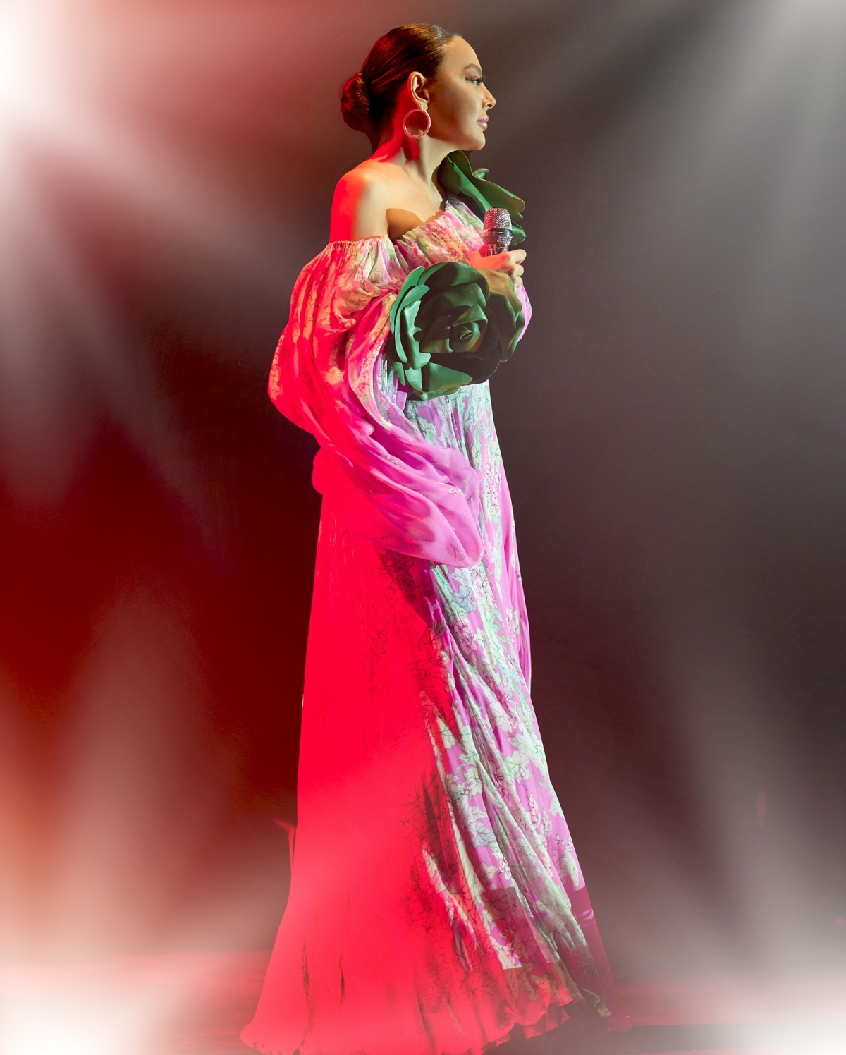 Ebru gündeş hayranları konserleri tıklım tıklım dolduruyor