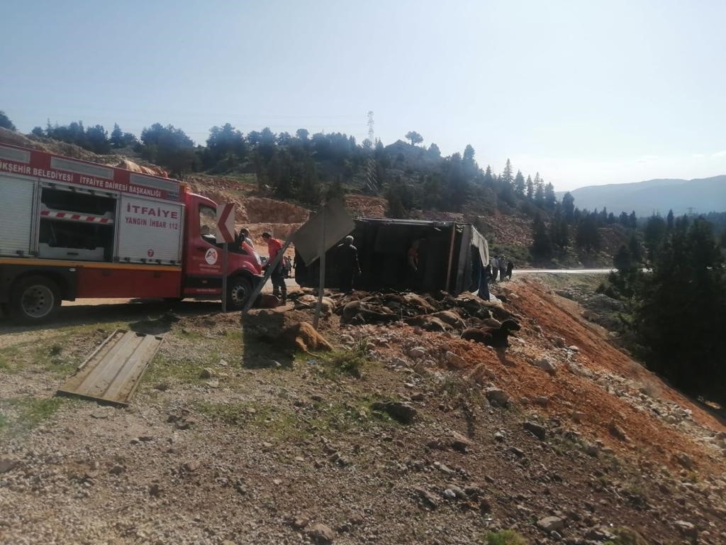 Tır devrildi, 60 hayvan telef oldu
