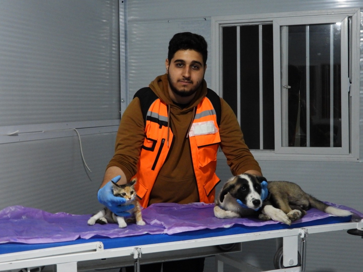 Deprem mağduru hayvanları gönüllü olarak tedavi ediyor
