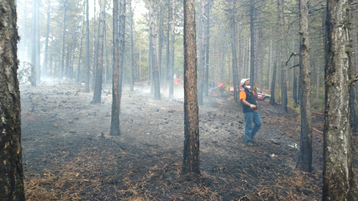 Kütahya’da orman yangını büyümeden kontrol altına alındı
