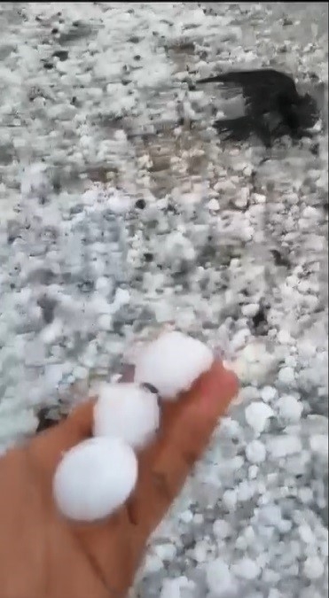 Arpaçay’ı dolu vurdu, çok sayıda kuş telef oldu
