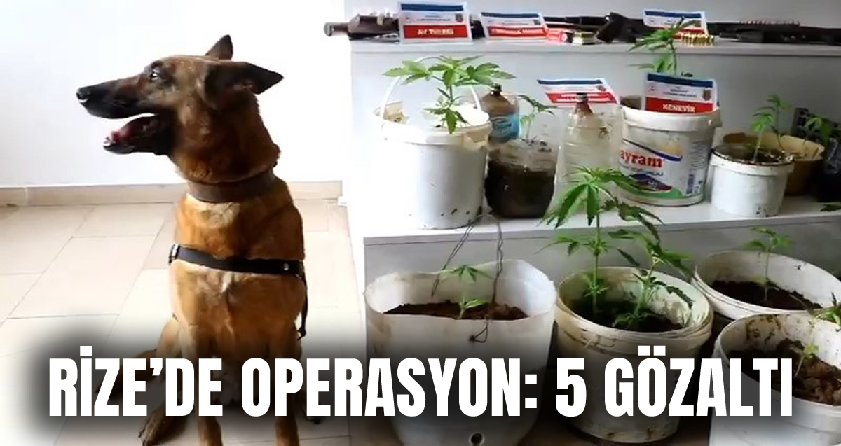 Rize’de uyuşturucu operasyonu: 5 gözaltı