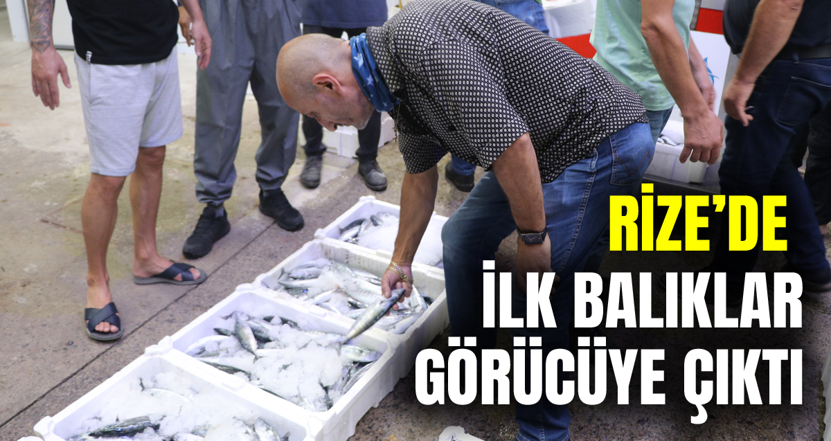 Rize'de balık sezonu bereketli başladı