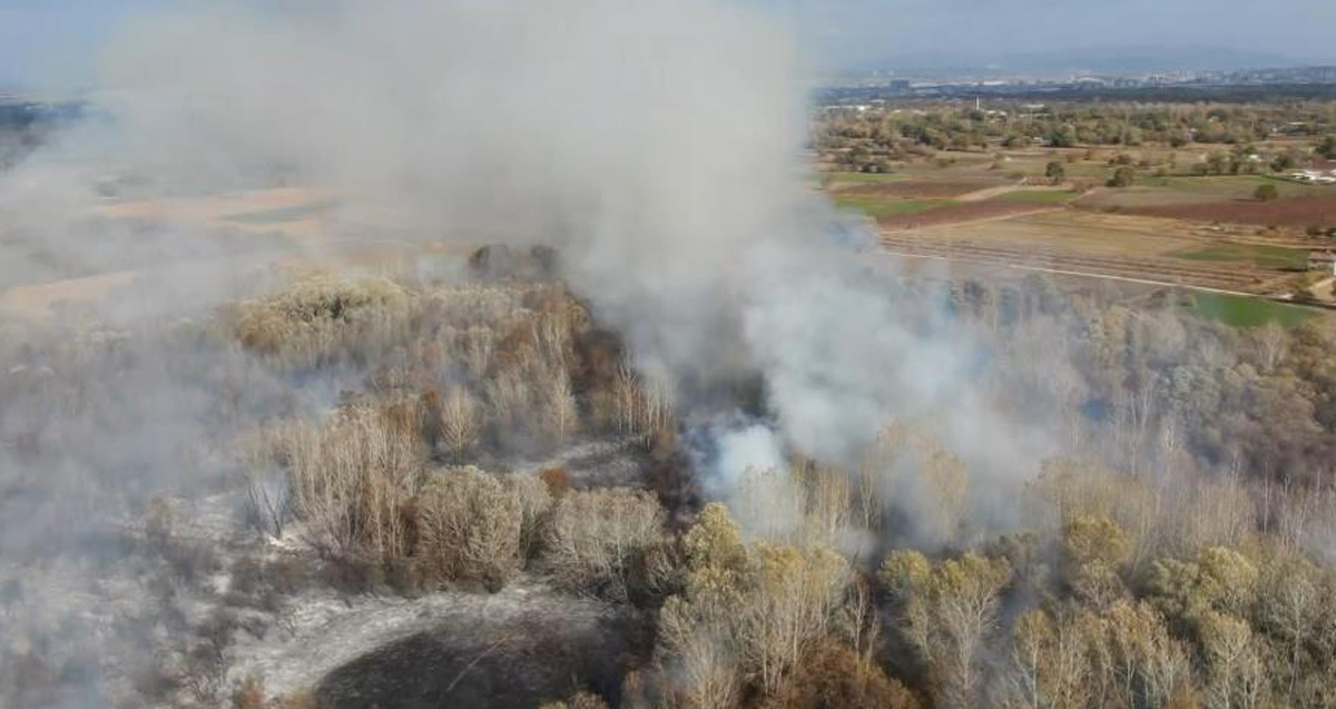  Bursa'da ormanlık alanda korkutan yangın havadan görüntülendi