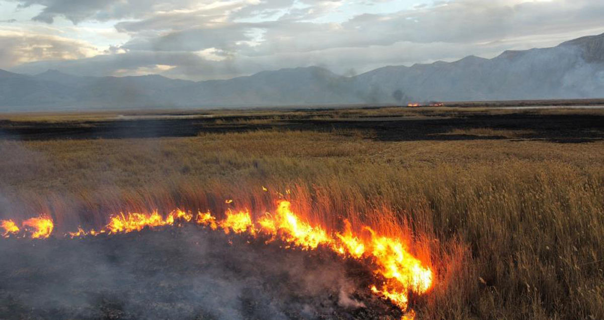 Afyonkarahisar'da Doğal güzelliği ile gündeme gelen gölde yangın çıktı