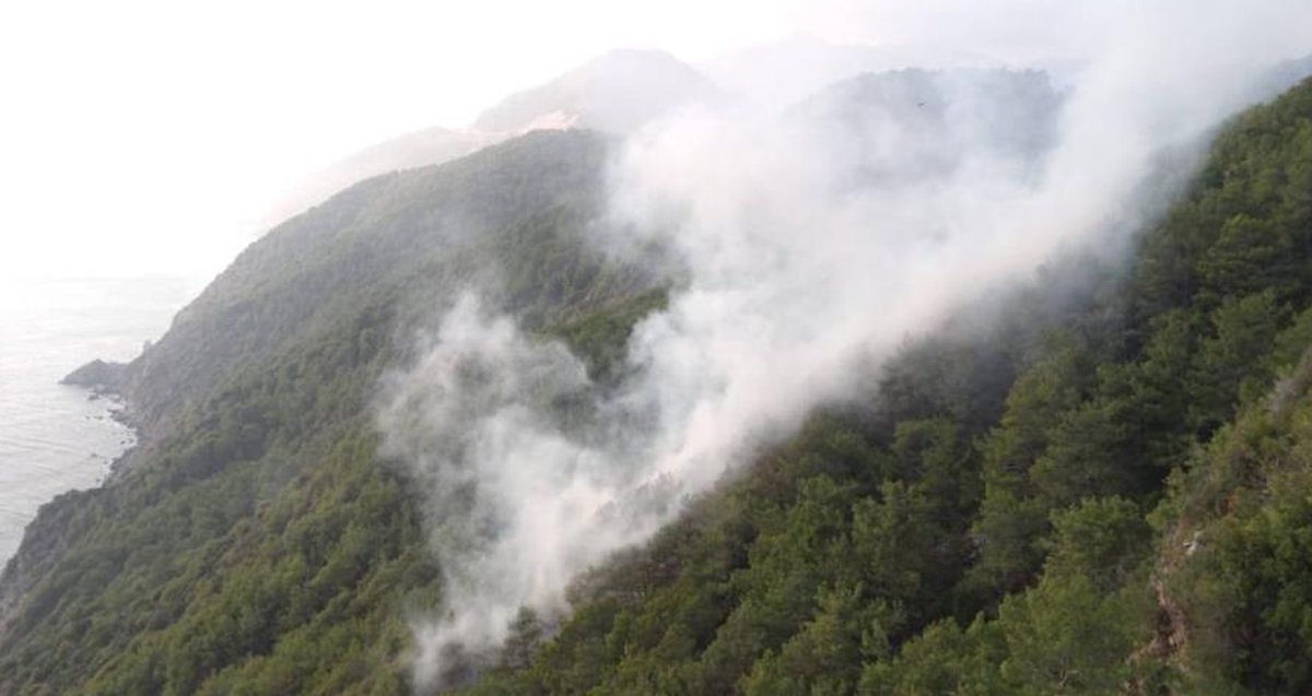 Mersin'nin Anamur ilçesinde yıldırım düşen ormanlık alanda yangın çıktı