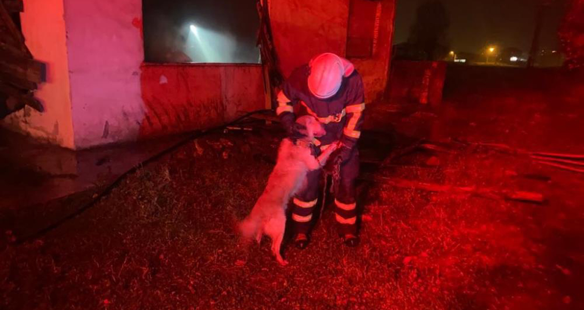 Yangını söndürüp mahsur kalan köpeği kurtardılar
