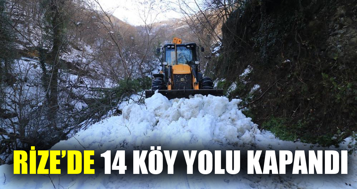 Doğu Karadeniz'de kar nedeniyle kapalı 110 köy yolu bulunuyor