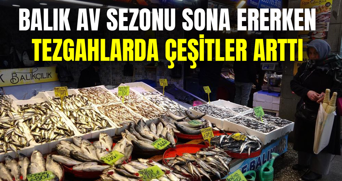 Trabzon'da balık av sezonu sonuna doğru tezgahlarda çeşit bolluğu