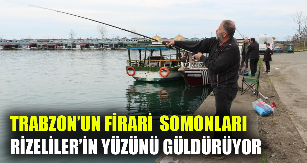 Trabzon'da kafesin yırtılması nedeniyke kaçan somonlar Rizeliler'in yüzünü güldürüyor
