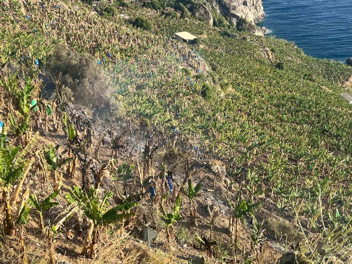 Antalya’da ormanlık alanda ve muz bahçesinde çıkan yangında 8 dönüm alan zarar gördü
