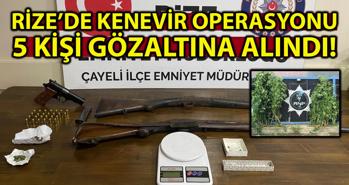 Rize’de 74 kök Hint keneviri ele geçirildi