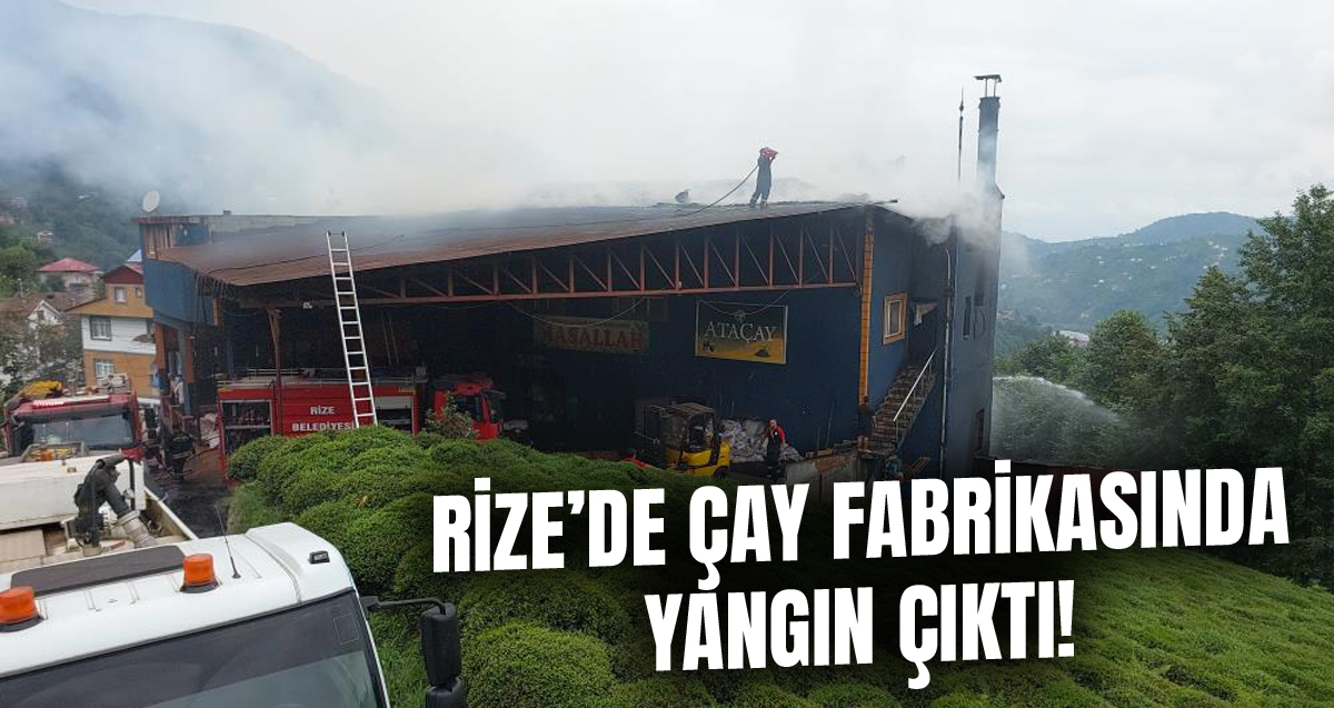 Rize'de çay fabrikasında yangın çıktı: 1 kişi dumandan etkilendi