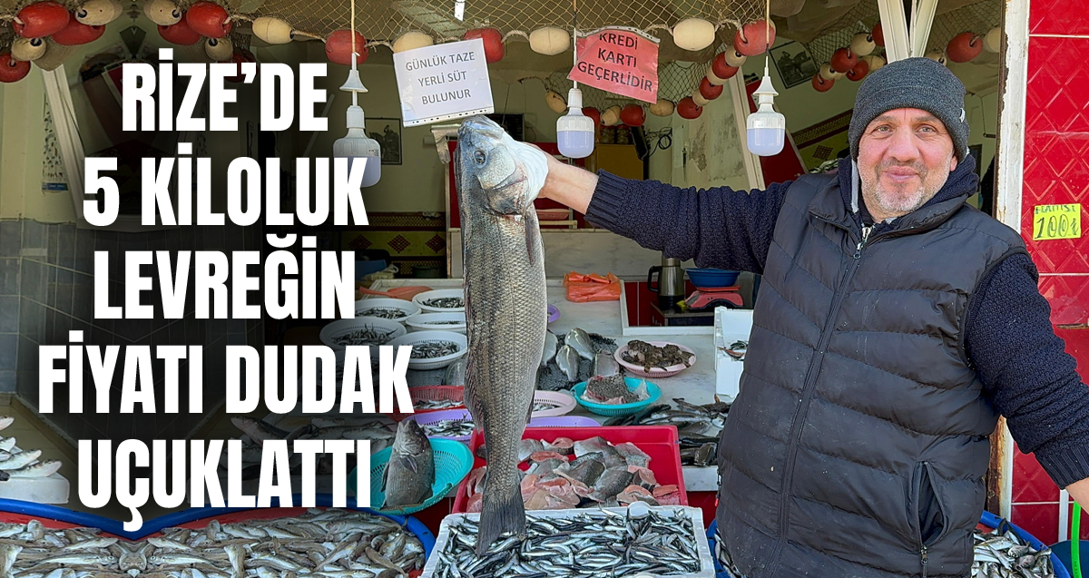 Balıkçının ağına takılan 5 kilo 250 gramlık levrek 2 bin 250 liradan satıldı  
